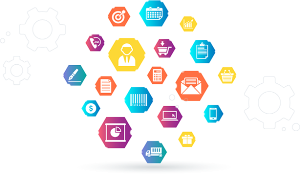 Social Media Management